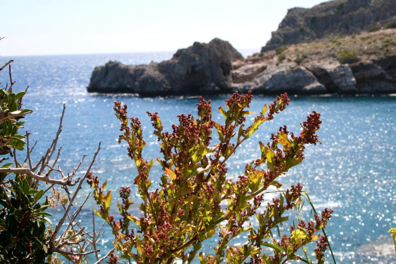Agios Pavlos Hotel Экстерьер фото